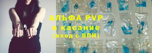 прущие грибы Баксан