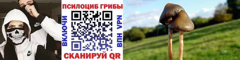 Галлюциногенные грибы GOLDEN TEACHER  Кодинск 